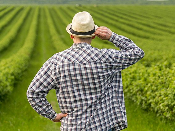 111man-farmland 111man-farmland