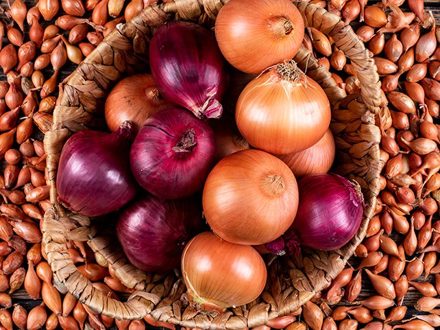 Onions in a basket with red onions top view on a shallots backgr Onions in a basket with red onions top view on a shallots background