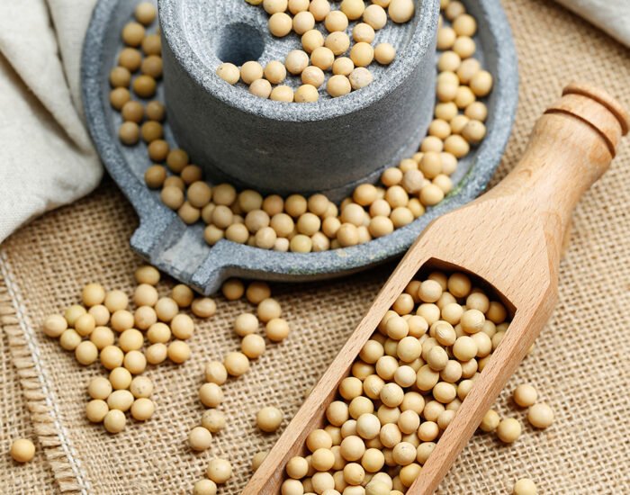Soybeans in wooden scoop and a little stone mill